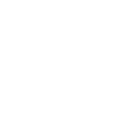 ICONOS-11