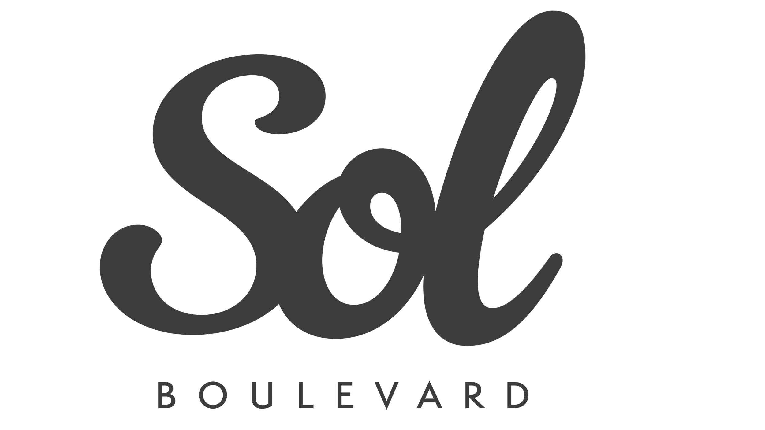 SOL LOGO PLOMO REDUCIDO